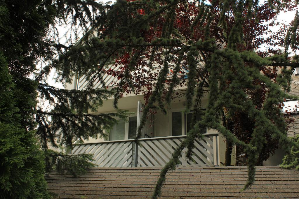 Vila Apartment Bled Lake Bagian luar foto